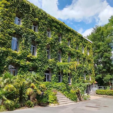 Logis Hotel-Restaurant - Le Moulin D'Artres Kültér fotó