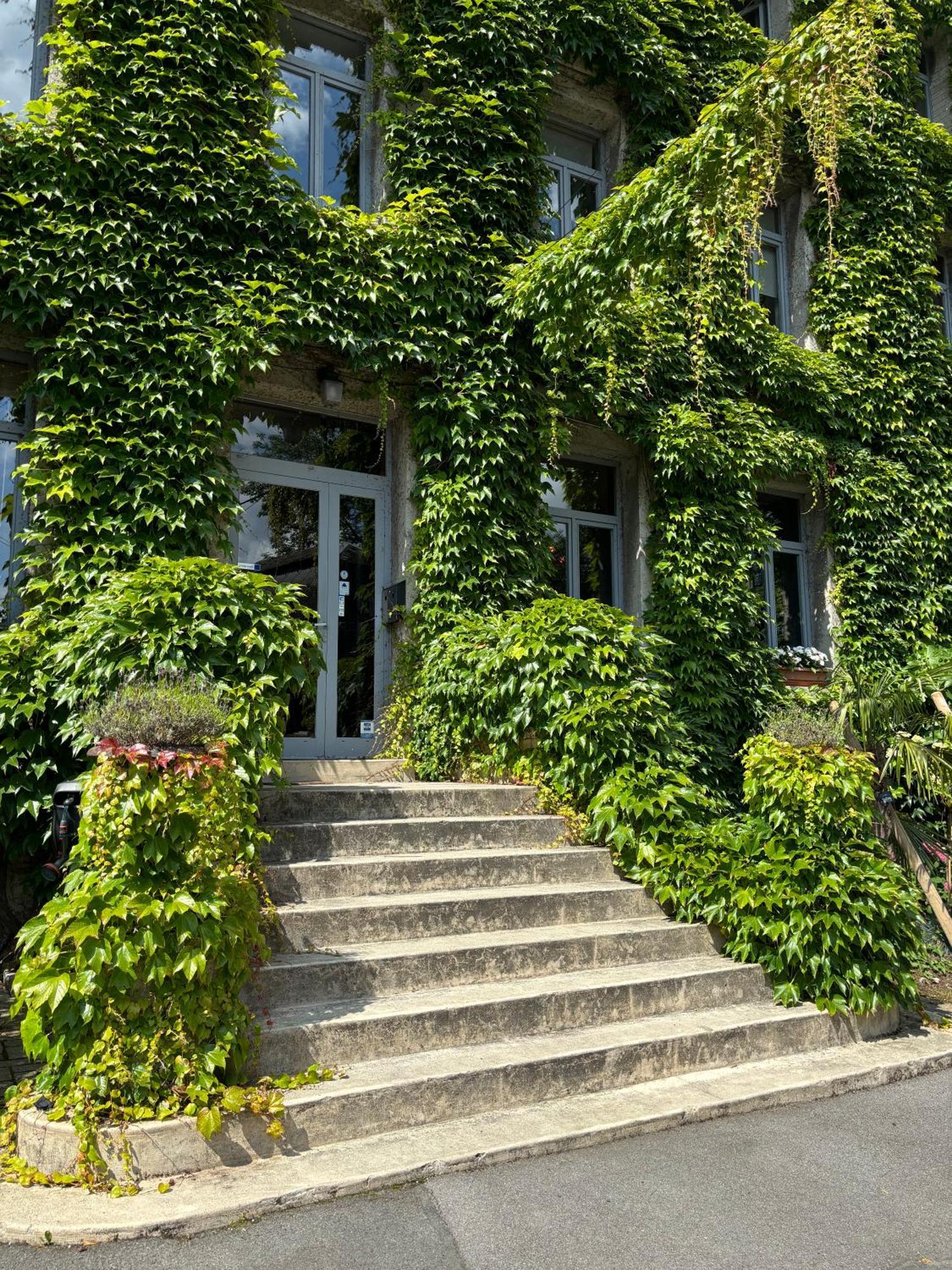 Logis Hotel-Restaurant - Le Moulin D'Artres Kültér fotó
